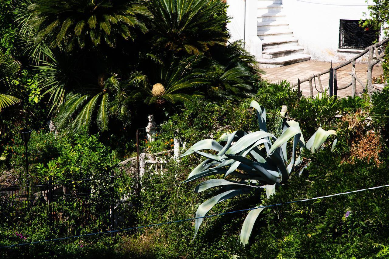 San Rocco Flexyrent - Parking - Wifi - Aircon Leilighet Rapallo Eksteriør bilde
