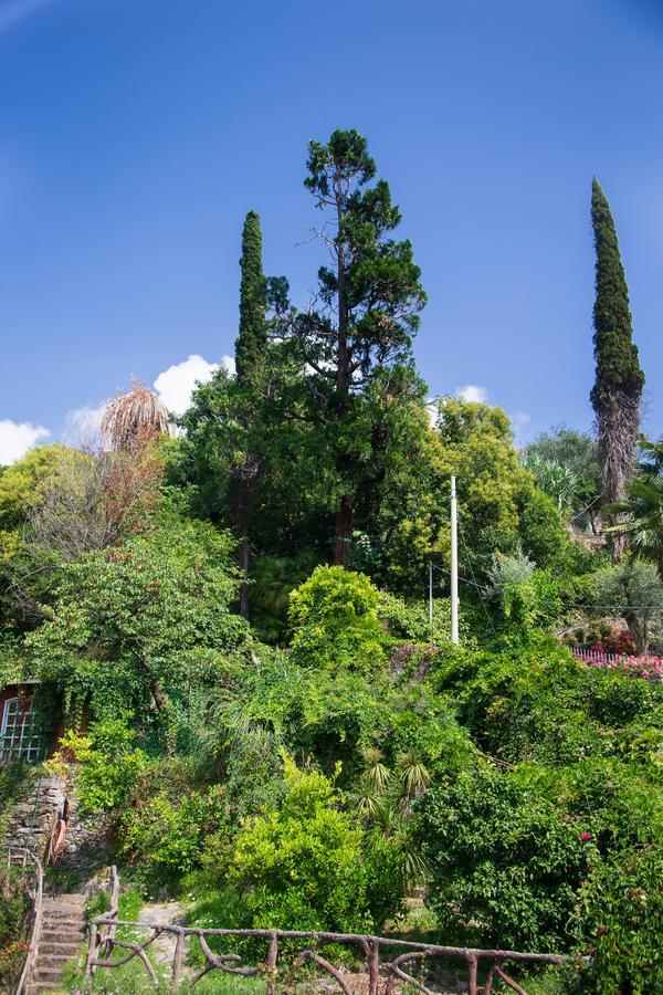 San Rocco Flexyrent - Parking - Wifi - Aircon Leilighet Rapallo Eksteriør bilde